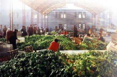 【天津大沙河蔬菜批發(fā)市場(chǎng)】地址在哪里怎么走_(dá)天津大沙河蔬菜批發(fā)市場(chǎng)拿貨攻略_營(yíng)業(yè)時(shí)間幾點(diǎn)開(kāi)門(mén)_53貨源網(wǎng)
