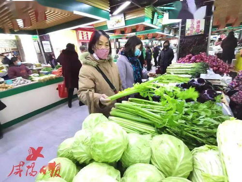 來(lái)了 咸陽(yáng)620噸春節(jié)儲(chǔ)備菜開(kāi)始投放,各類(lèi)農(nóng)副產(chǎn)品價(jià)格平穩(wěn)
